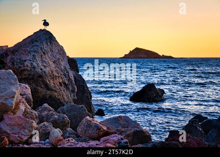 Série de paysages du bord de mer méditerranéen, sur la commune de Bandol (Var) dans le sud de la France. Banque D'Images