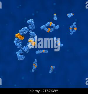 Anticorps monoclonaux (adalimumab) - vue en gros plan illustration 3D. Banque D'Images