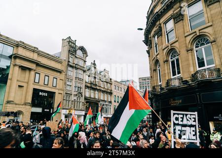 Les manifestants brandissent des drapeaux palestiniens et leur maison a fait des panneaux dans le centre-ville lors de la marche du cessez-le-feu à Gaza. Newcastle upon Tyne, Angleterre, Royaume-Uni - octobre 28 2023. Banque D'Images