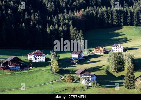 Grandes maisons alpines sur un plateau herbeux à côté d'une forêt, sont baignées dans le soleil de fin d'après-midi, Ortisei, Italie Banque D'Images