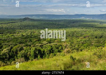 Vue aérienne de la Réserve forestière de Kakamega, Kenya Banque D'Images