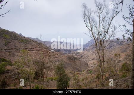 Paysage avec montagnes et champs verts, Cap Vert, île de Santiago. Banque D'Images