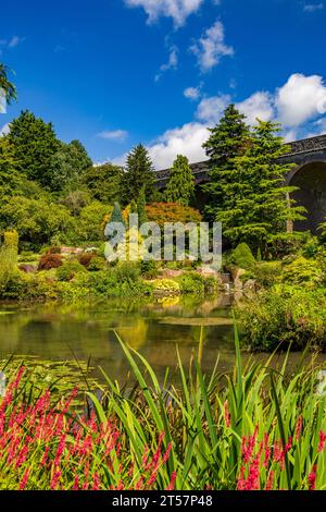 La vue sur le lac vers le viaduc ferroviaire désaffecté à Kilver court Gardens, Shepton Mallet, Somerset, Angleterre, Royaume-Uni Banque D'Images