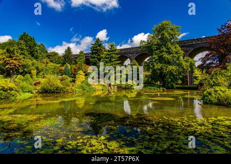 La vue sur le lac vers le viaduc ferroviaire désaffecté à Kilver court Gardens, Shepton Mallet, Somerset, Angleterre, Royaume-Uni Banque D'Images