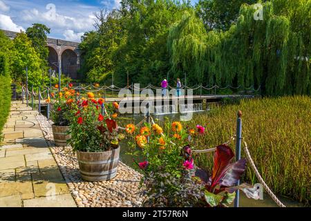 Dahlias colorés dans des baignoires le long du Mill Pond dans Kilver court Gardens, Shepton Mallet, Somerset, Angleterre, Royaume-Uni Banque D'Images