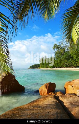 Anse grave plage dans l'île tropicale la Digue, Seychelles. Banque D'Images