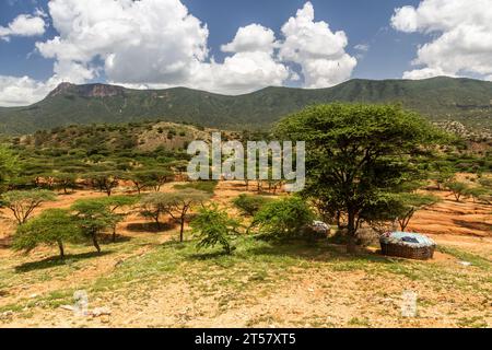 Huttes de la tribu Samburu près du village de South Horr, Kenya Banque D'Images