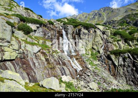 Cascade skok dans la vallée de Mlynicka, Vysoke Tatry (montagnes Tatras), Slovaquie. Banque D'Images