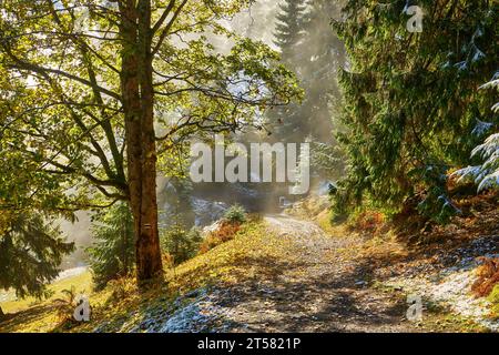 Alors que la première neige couvre la terre, un lever de soleil envoûtant peint le ciel en automne. Un sentier de montagne sinueux serpente à travers une épingle enneigée imposante Banque D'Images