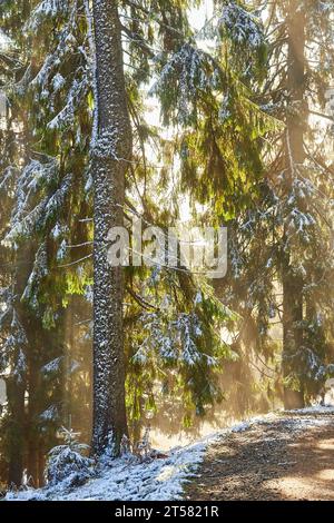 Alors que la première neige couvre la terre, un lever de soleil envoûtant peint le ciel en automne. Un sentier de montagne sinueux serpente à travers une épingle enneigée imposante Banque D'Images