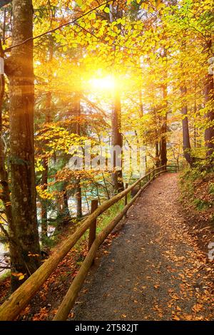 Embarquez pour un voyage tranquille à travers les teintes vibrantes de l'automne le long d'un chemin forestier qui serpente le long d'un lac pittoresque. La clôture en bois gracieuse Banque D'Images