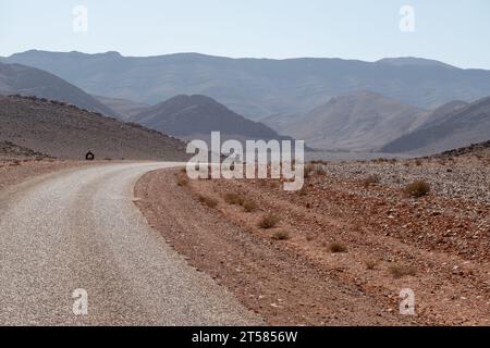 Cycliste sur la route du désert dans le sud du Maroc Banque D'Images