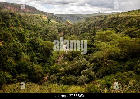 Dans la gorge de Hell's Gate National Park, Kenya Banque D'Images