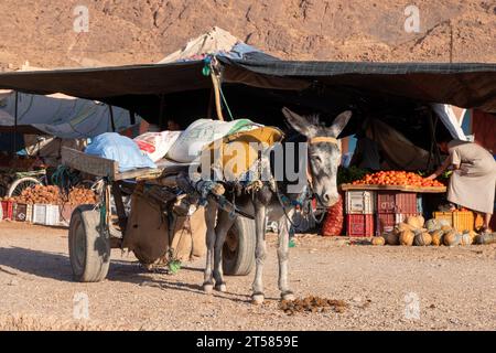 Place du marché à Taghjijt au Maroc Banque D'Images