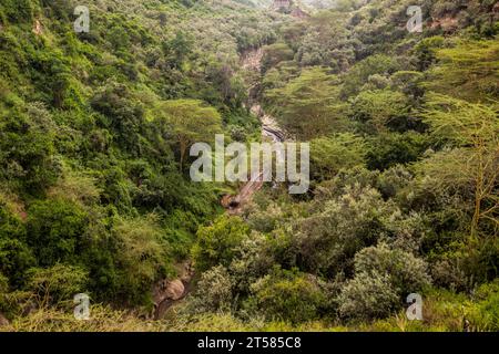 Dans la gorge de Hell's Gate National Park, Kenya Banque D'Images