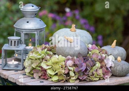 arrangement d'automne avec couronne de fleurs d'hortensia, citrouilles et lanternes vintage Banque D'Images