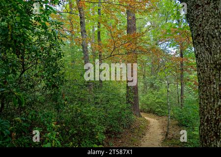 Un sentier dans la forêt avec les arbres commençant à changer de couleur fin septembre au début de l'automne dans le Tennessee Banque D'Images