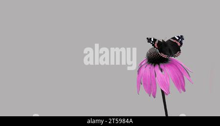Fleur en fleur et papillon. Minimalisme. Couleurs vives. Découpez Banque D'Images