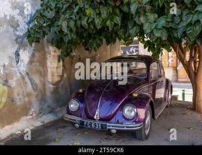 Vieille voiture Volkswagen Beetle garée sous un arbre dans le centre-ville de Larnaca, Chypre. Banque D'Images