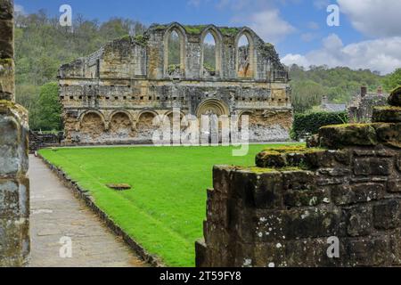 Les vestiges du réfectoire aux ruines de l'abbaye de Rievaulx, Rievaulx, près de Helmsley, dans le parc national des Moors de North York, North York, Angleterre, Royaume-Uni Banque D'Images
