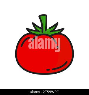 Icône de ligne de couleur d'ingrédient de salade de légumes-feuilles rouge de tomate. Vecteur nourriture végétarienne tomate ronde mûre entière, légumes suivant des tomates cerises Illustration de Vecteur