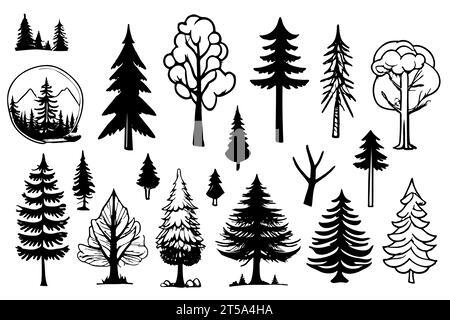 Les esquisses d'arbre définissent différents types . Illustration vectorielle dessinée à la main. Illustration de Vecteur