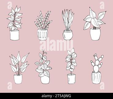 Différentes plantes d'intérieur dans le pot. Illustration vectorielle de plantes d'intérieur dessinées à la main. Collection de plantes en pot. Ensemble de plantes de maison d'intérieur avec pot de fleur Illustration de Vecteur