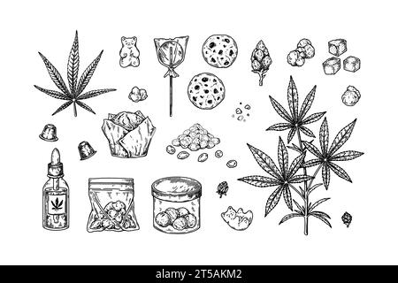 Produits à base de cannabis. Ensemble d'éléments de conception pour la décoration de magasin de marijuana. Illustration vectorielle dans le style d'esquisse Illustration de Vecteur