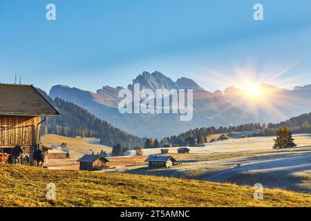 Lever du soleil à Alpe di Siusi dans les Dolomites, en automne Banque D'Images