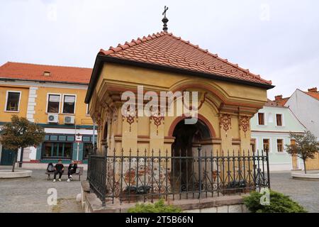 Captain Ilie BIRT Monument, Piața Unirii (Union Square), Braşov, Comté de Braşov, Transylvanie, Roumanie, Europe Banque D'Images