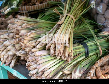 Plusieurs bouquets de citronnelle, Daun Sereh, Cymbopogon citratus sur le marché traditionnel, à Yogyakarta, Indonésie Banque D'Images