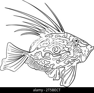 Croquis de poisson de John Dory. poisson marin avec une vue latérale d'un contour noir isolé avec des nageoires et une queue redressées. une esquisse dessinée à la main dans le style Illustration de Vecteur