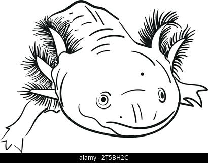 Illustration de dessin à la main vectoriel Salamander Axolotl en couleur noire isolée sur fond blanc. Esquissez une illustration au trait Pour la conception, livre, web , Illustration de Vecteur