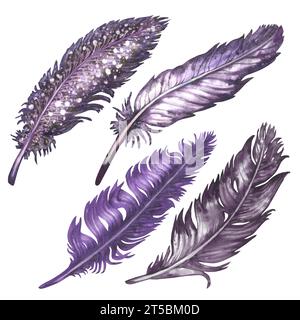 Plumes d'oiseau aquarelle pour éléments d'album d'art, croquis, conception d'invitation, cadres. Éléments isolés sur fond blanc Banque D'Images