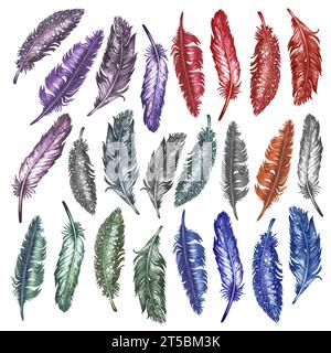 Plumes d'oiseau aquarelle pour éléments d'album d'art, croquis, conception d'invitation, cadres. Éléments isolés sur fond blanc Banque D'Images