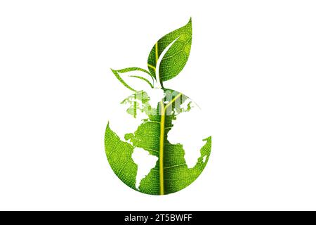 Concept de planète de terre verte, icône, écologie du monde, nature globale protéger, logo environnement écologique, globe avec des feuilles, ligne mince symbole simple web sur blanc. Banque D'Images