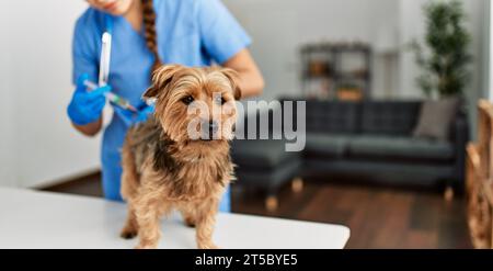 Jeune belle femme hispanique vétérinaire chien de vaccination à la maison Banque D'Images