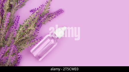 Fleurs de lavande et bouteille d'arôme se trouvent sur le fond violet pastel. Banderole à plat Banque D'Images