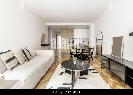 Salon d'une maison avec une cuisine ouverte de style loft meublée dans un style contemporain Banque D'Images