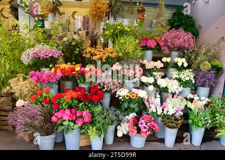 Fleuriste à côté de l'église de la Madeleine dans le centre de Paris, France Banque D'Images