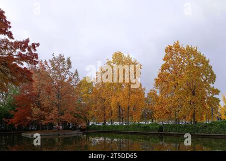 Arbres aux couleurs automnales dans le jardin aquatique de Nancy sous un ciel gris Banque D'Images