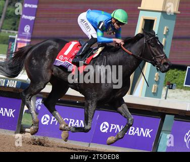 Arcadia, États-Unis. 04 novembre 2023. Goodnight Olive montée par Irad Ortiz, Jr., remporte la Breeders' Cup Filly et Mare Sprint lors de la 40e édition des Breeders' Cup Championships à Santa Anita Park à Arcadia, en Californie. Le samedi 4 novembre 2023. Photo de Mark Abraham/UPI crédit : UPI/Alamy Live News Banque D'Images