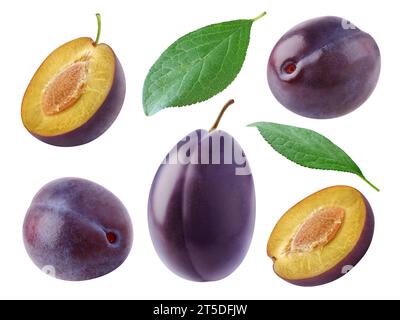 Collection de fruits et feuilles de prunes bleues entières et coupées isolées sur fond blanc Banque D'Images