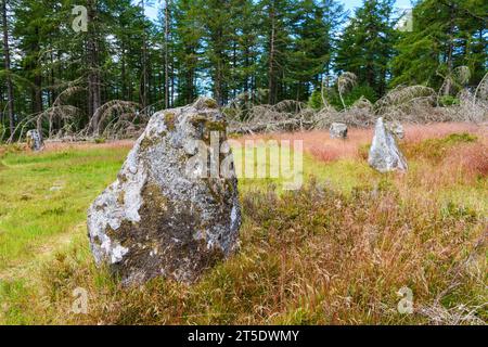 Le cercle de pierre Nine Stanes, près de Banchory, Aberdeenshire, Écosse, Royaume-Uni Banque D'Images