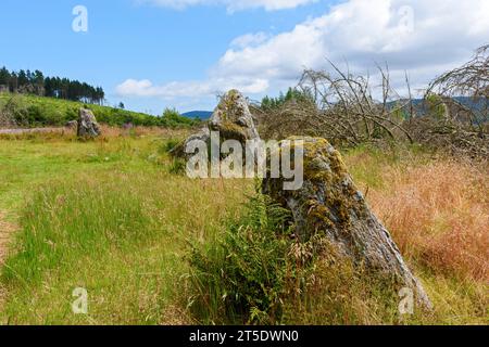 Le cercle de pierre Nine Stanes, près de Banchory, Aberdeenshire, Écosse, Royaume-Uni Banque D'Images