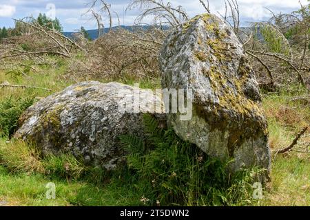 Le cercle de pierre Nine Stanes, près de Banchory, Aberdeenshire, Écosse, Royaume-Uni Banque D'Images