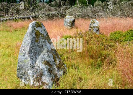 Le cercle de pierre Nine Stanes, près de Banchory, Aberdeenshire, Écosse, Royaume-Uni Banque D'Images