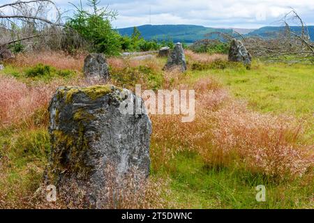 Le cercle de pierre Nine Stanes, près de Banchory, Aberdeenshire, Écosse, Royaume-Uni Banque D'Images