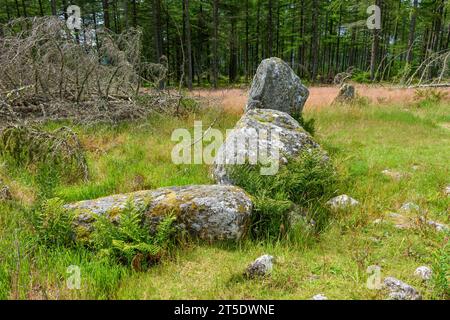 Le cercle de pierre Nine Stanes, près de Banchory, Aberdeenshire, Écosse, Royaume-Uni Banque D'Images