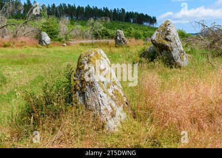 Le cercle de pierre Nine Stanes, près de Banchory, Aberdeenshire, Écosse, Royaume-Uni Banque D'Images